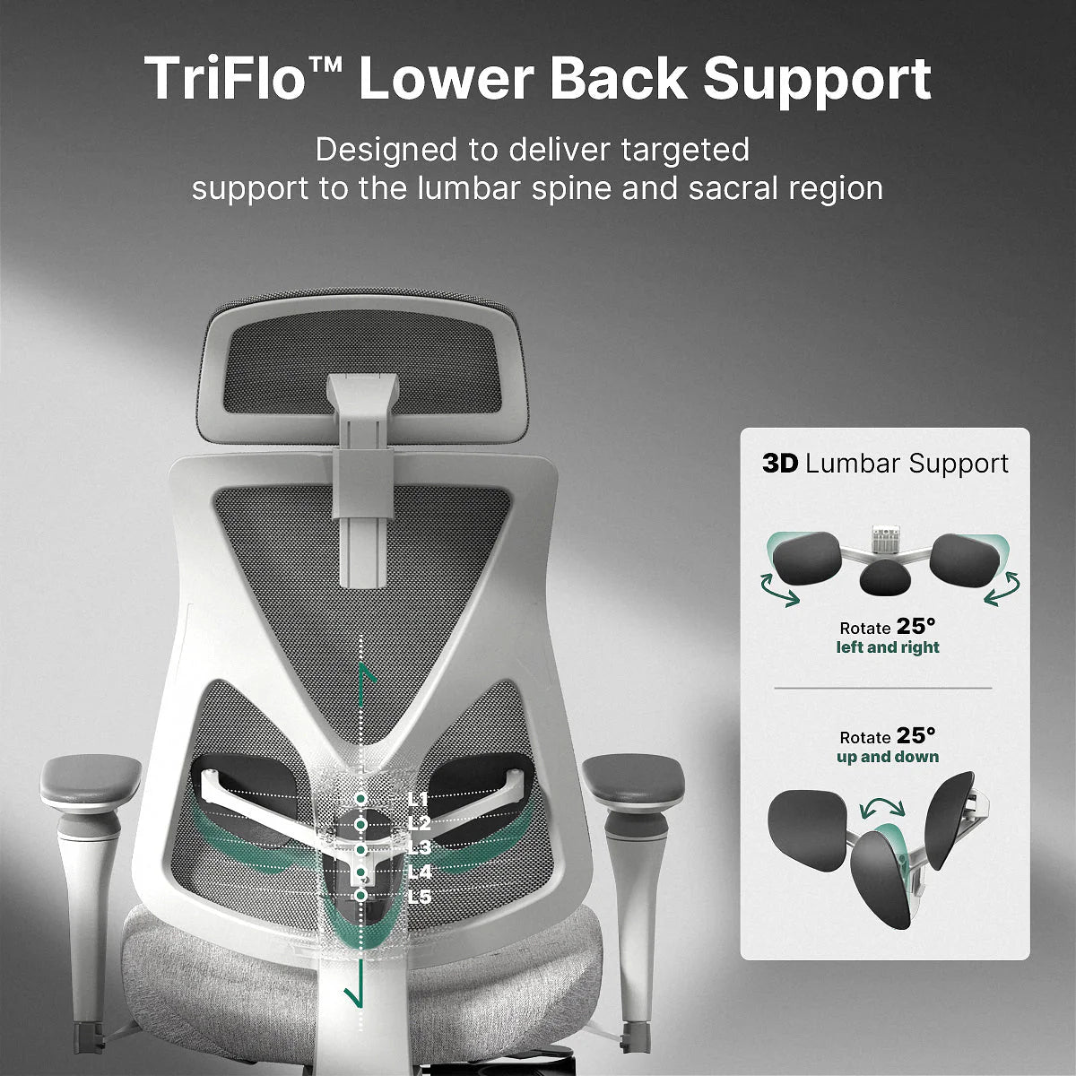 Hinomi D3 Ergonomic TriFlo™ Lower Back Support Office Chair