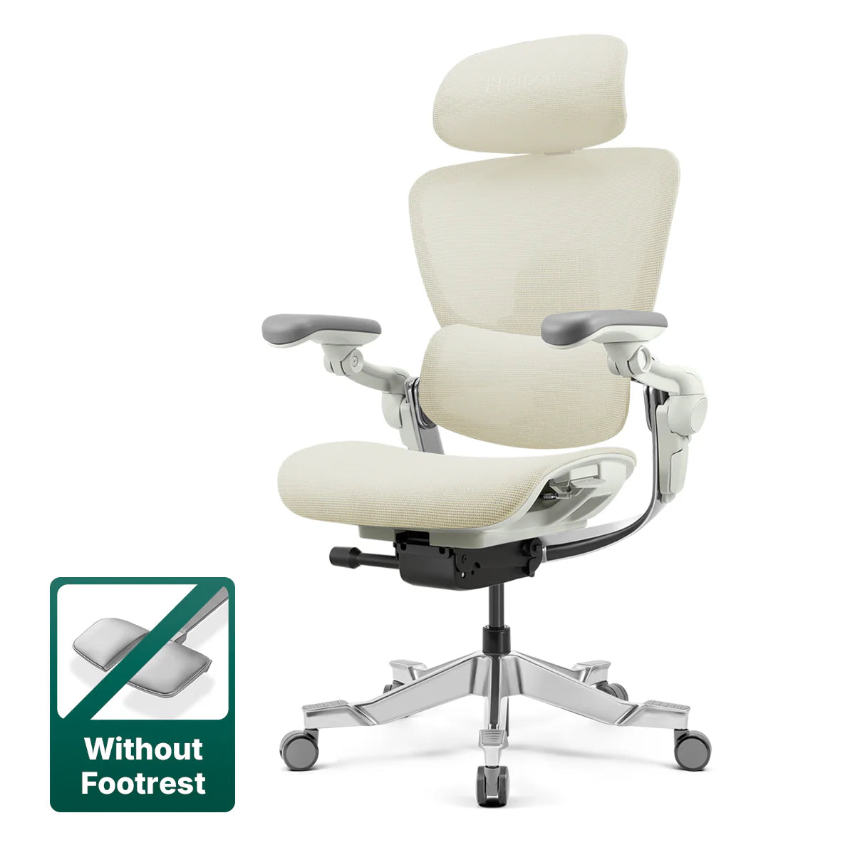 Hinomi H2 Pro Ergonomic Office Chair with Bi-Pivot Armrest