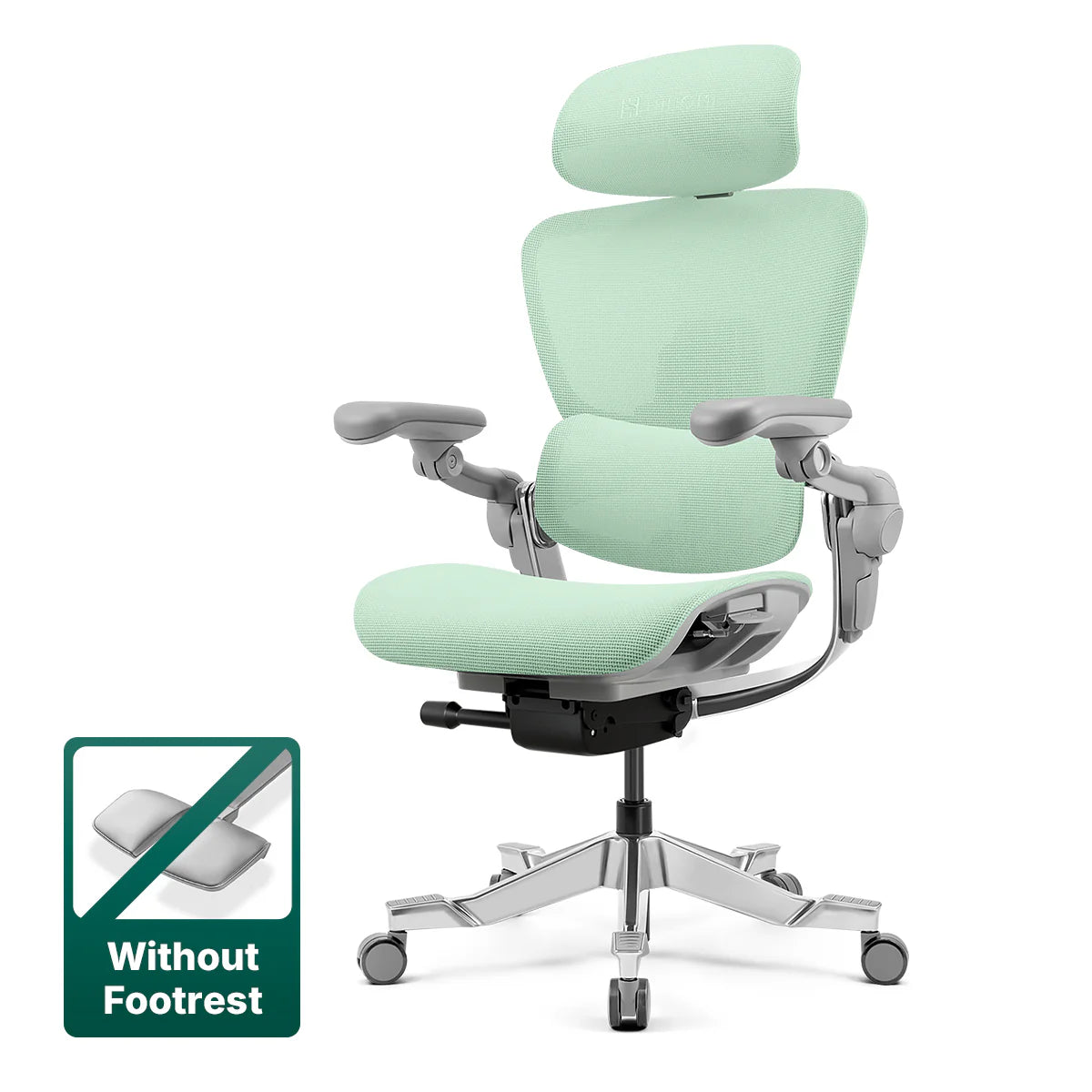 Hinomi H2 Pro Ergonomic Office Chair with Bi-Pivot Armrest