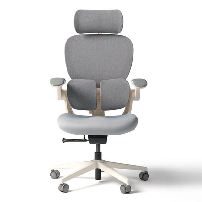 Hinomi Q2 Ergonomic Office Chair with Multi-Adjustable Armrests