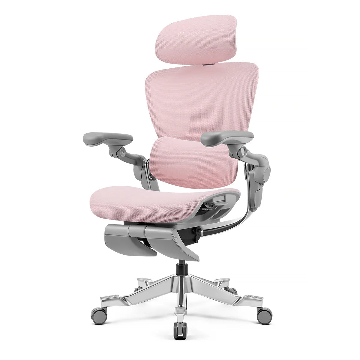 Hinomi H2 Pro Ergonomic Office Chair with Bi-Pivot Armrest