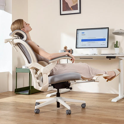 Hinomi Q2 Ergonomic Office Chair with Multi-Adjustable Armrests